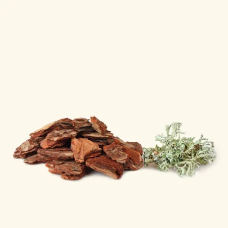 Cedar-_-Oakmass