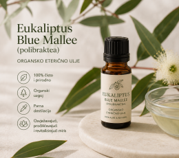Eukaliptus Blue Mallee (polibraktea), organsko eterično ulje