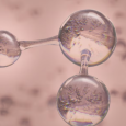 SYN®-COLL – Napredni peptid za sintezu i zaštitu kolagena